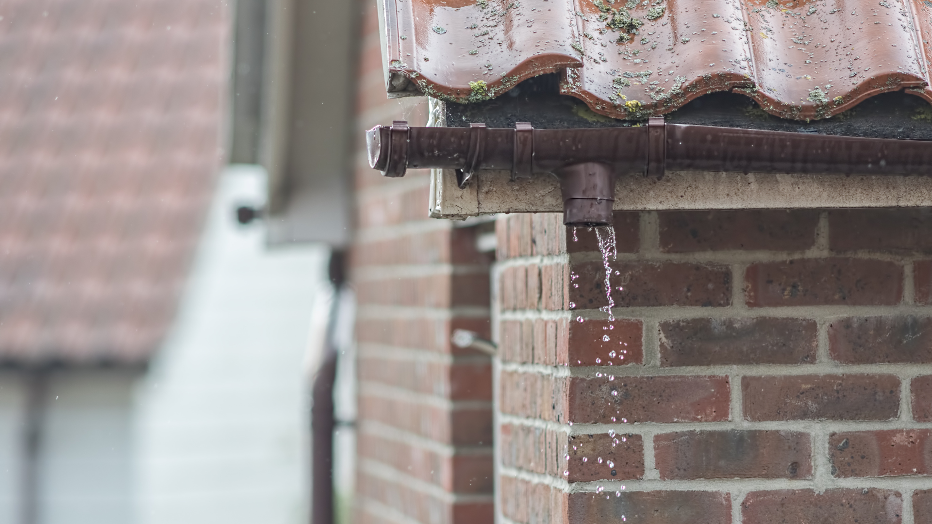 Rainwater running from a downpipe outlet on the eaves of a brick house